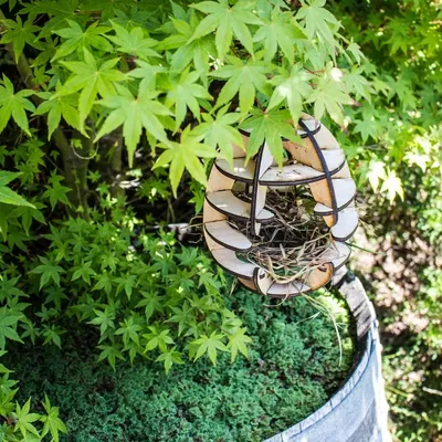 Nhà chim cắt laser tùy chỉnh cho chim trong khu vực