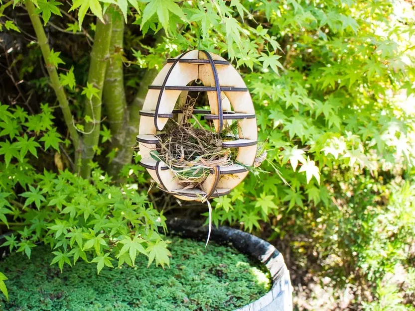 Nhà chim cắt laser tùy chỉnh cho chim trong khu vực - Image 3