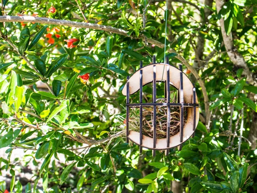 Nhà chim cắt laser tùy chỉnh cho chim trong khu vực - Image 4