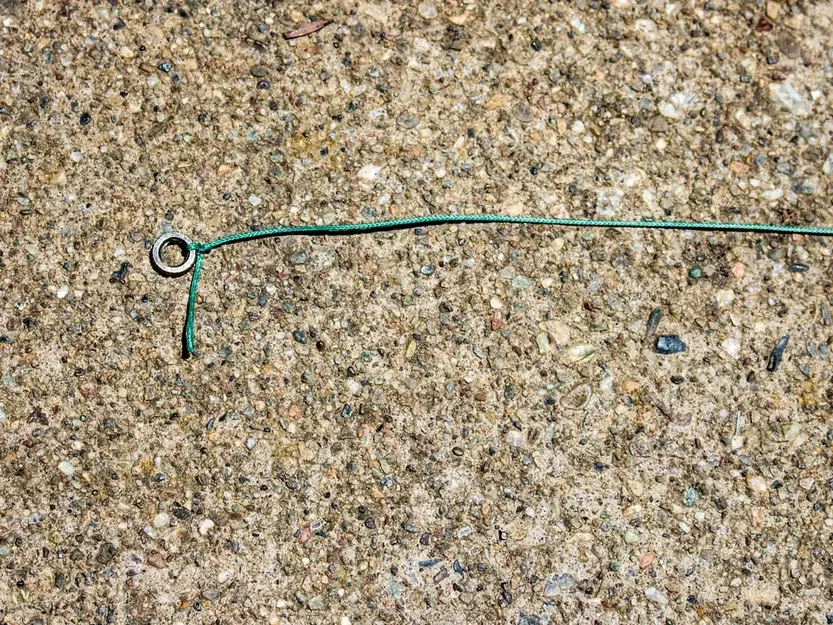 Nhà chim cắt laser tùy chỉnh cho chim trong khu vực - Image 5