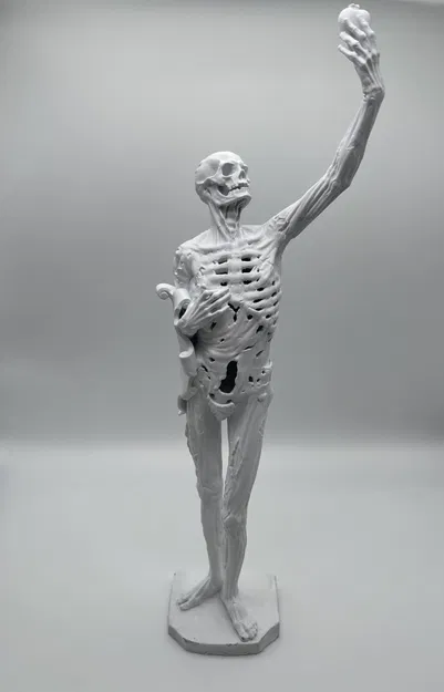 Hình nộm bộ xương Le Transi de Rene de Chalon - Image 2