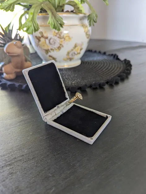 Hộp nhẫn cầu hôn dễ dàng giấu kín - Image 1