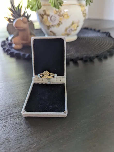 Hộp nhẫn cầu hôn dễ dàng giấu kín - Image 2