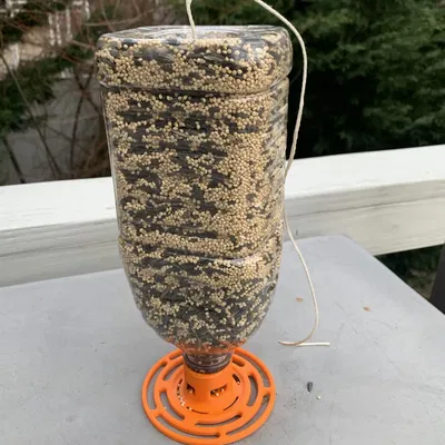 Máy cho chim từ chai tái chế Snapple và Ocean Spray