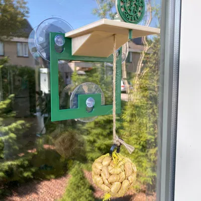 Cây cho chim đậu cửa sổ Starbucks