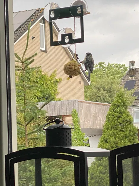 Cây cho chim đậu cửa sổ Starbucks - Image 2