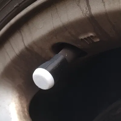 Thay thế nắp van lốp - Thiết kế Schrader và Presta