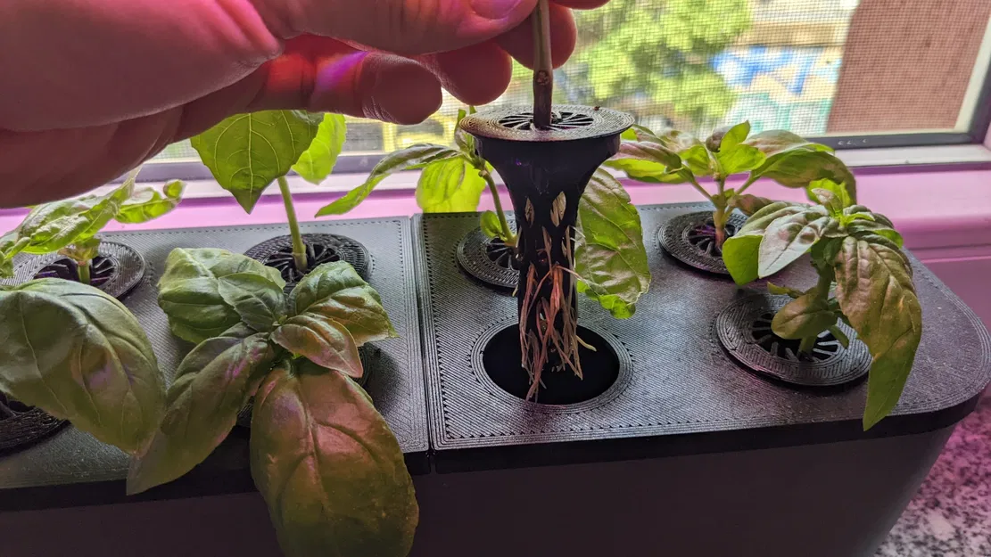 Nắp đậy Kratky cho chậu cây Lechuza thủy canh - Image 3