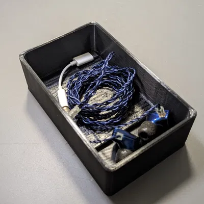 Hộp đựng tai nghe in-ear cho audiophile