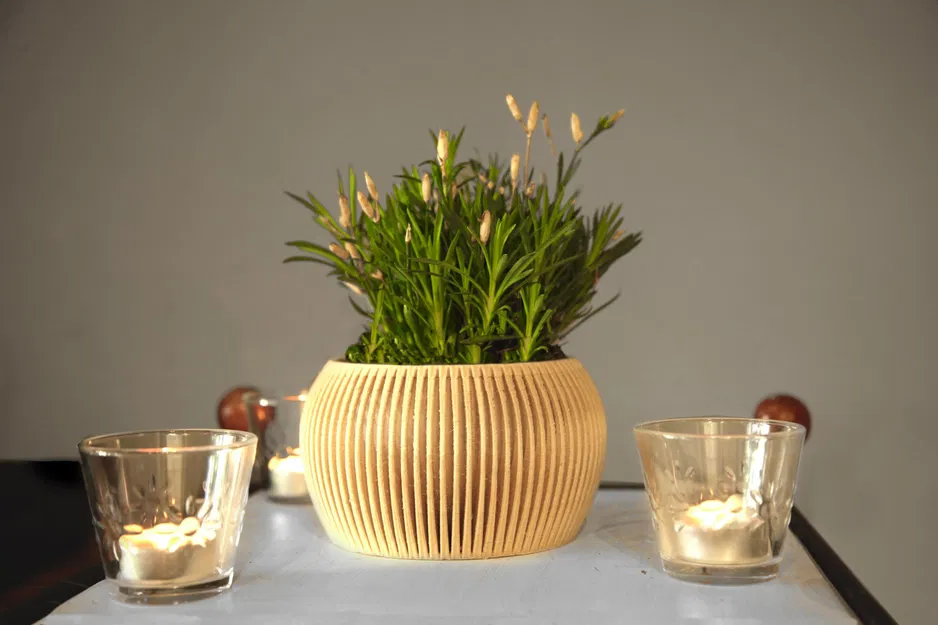 Bộ sưu tập chậu hiện đại số 8 - Image 2