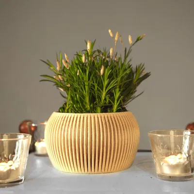 Bộ sưu tập chậu hiện đại số 8