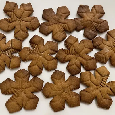 Cutter hình nón bánh gừng Ciekurkalns