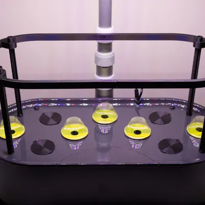 Giá đỡ cây cao cho AeroGarden Bounty