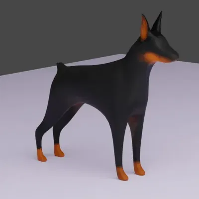 Chó Doberman dễ thương, bạn đồng hành lý tưởng