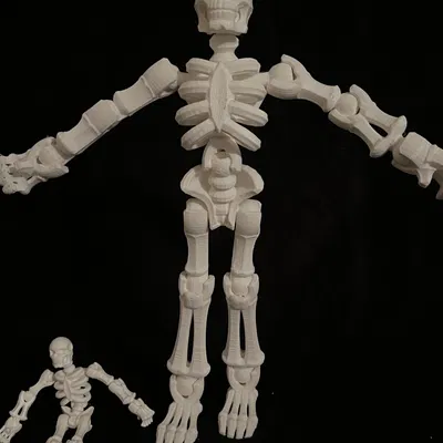 Trang trí bộ xương di động cho mùa Halloween