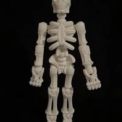 Trang trí bộ xương di động cho mùa Halloween