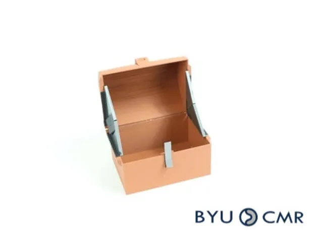 Hòm kho báu tự mở cho ngày lễ Thánh Patrick - Image 2