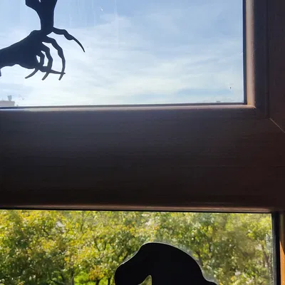 Bàn tay ma cà rồng với trang trí cửa sổ dơi