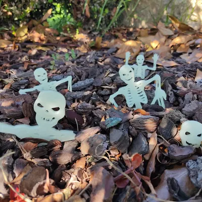 Tập hợp bộ xương trang trí cho Halloween