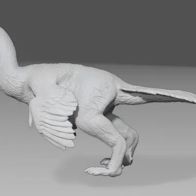 Mô hình Anzu - loài khủng long oviraptor chi tiết