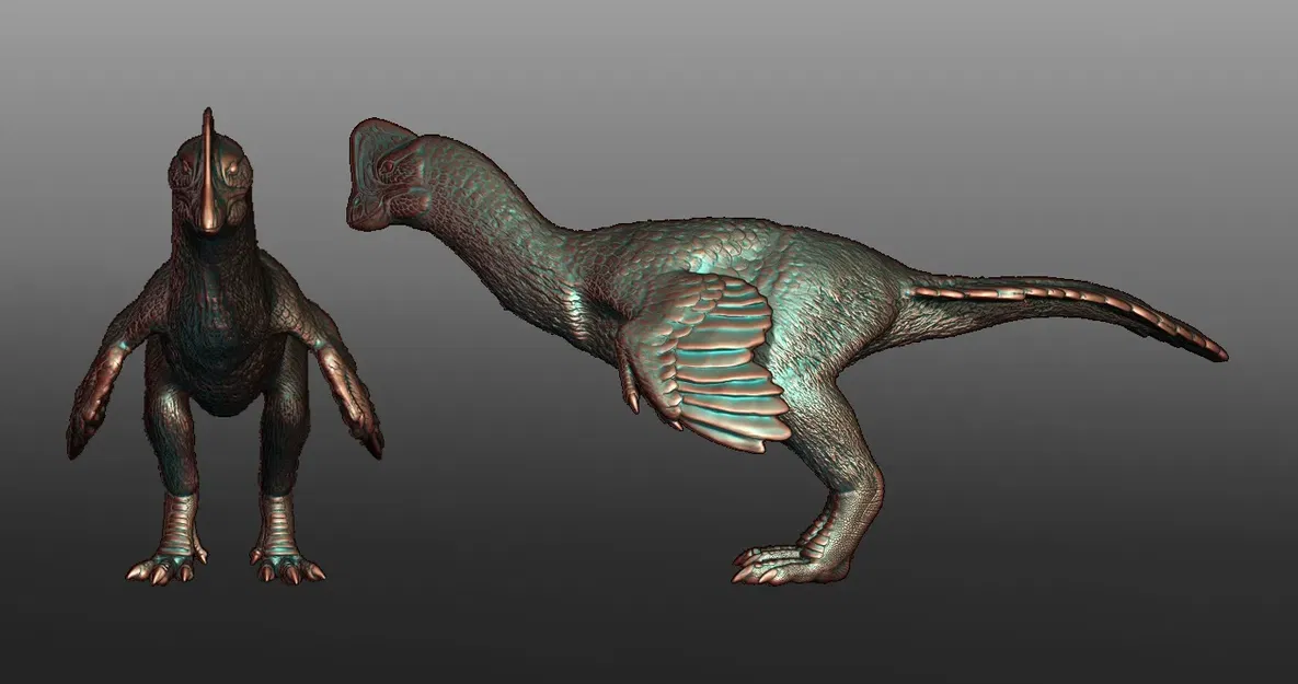 Mô hình Anzu - loài khủng long oviraptor chi tiết - Image 5