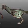 Mô hình Anzu - loài khủng long oviraptor chi tiết - Thumbnail 5