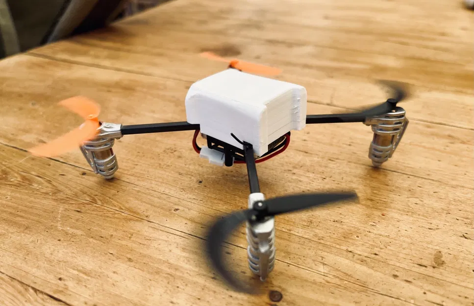 Vỏ máy bay điều khiển từ xa LadyBird Quadcopter - Image 1