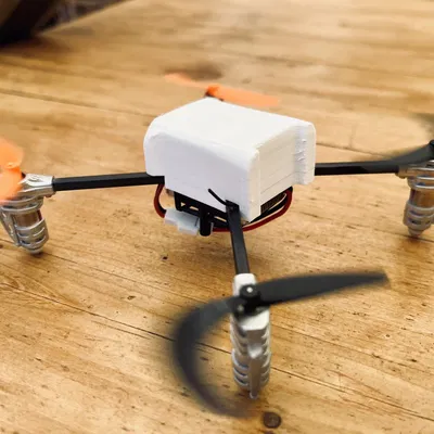 Vỏ máy bay điều khiển từ xa LadyBird Quadcopter