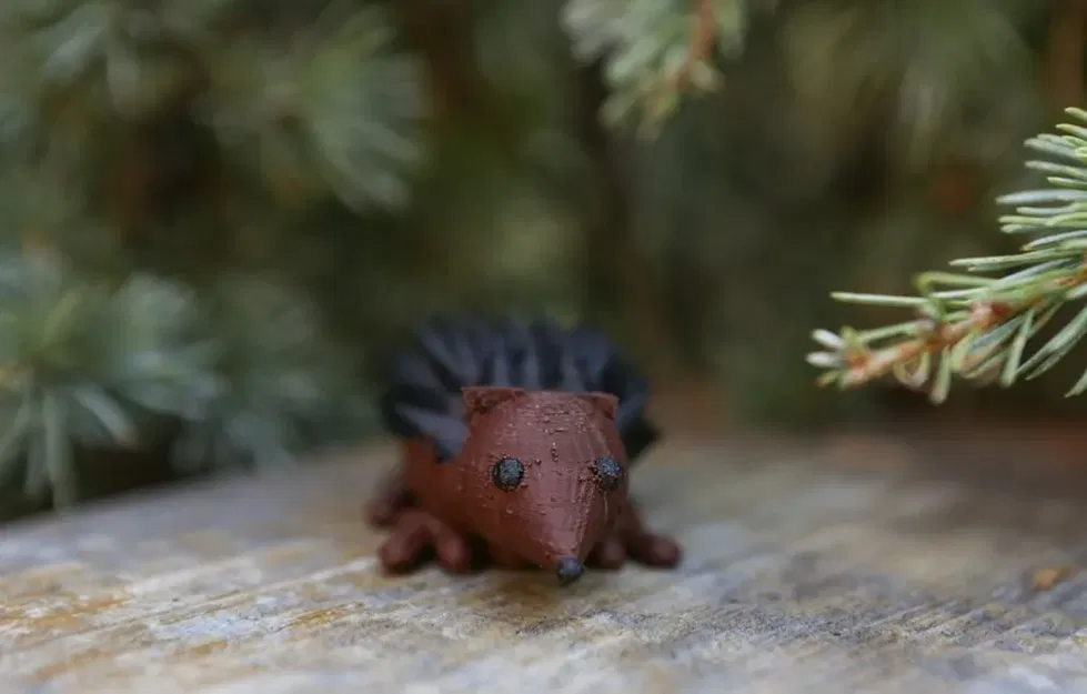 Nhím đất 3D do học sinh Cooper thiết kế - Image 1