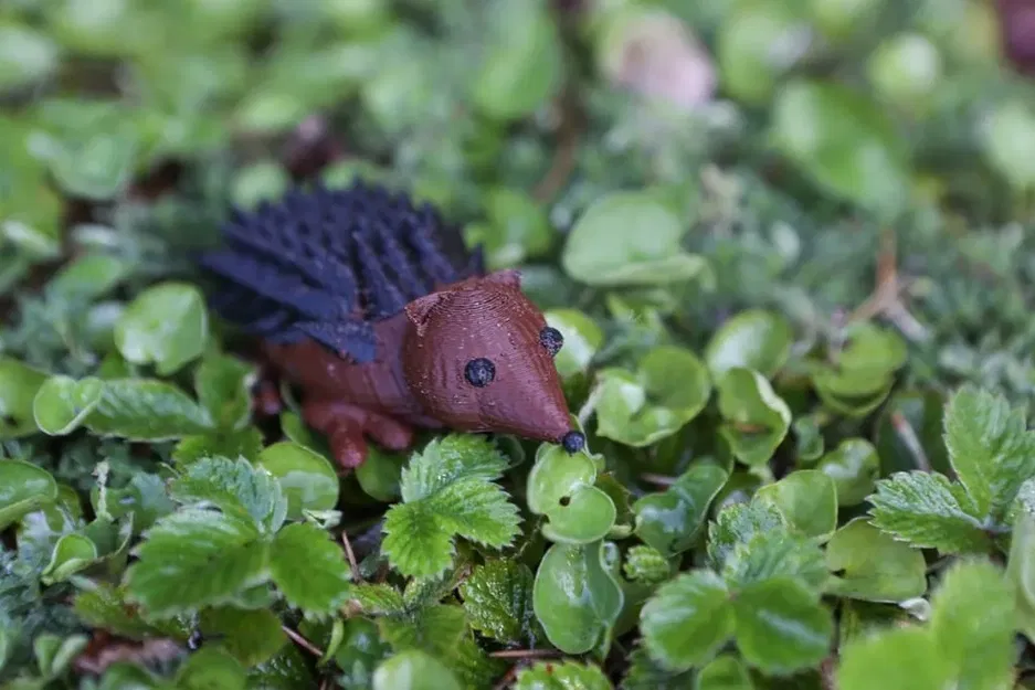 Nhím đất 3D do học sinh Cooper thiết kế - Image 2