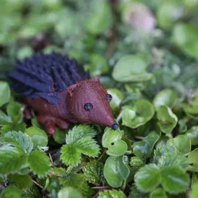 Nhím đất 3D do học sinh Cooper thiết kế