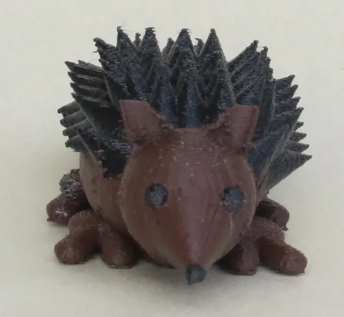 Nhím đất 3D do học sinh Cooper thiết kế - Image 5