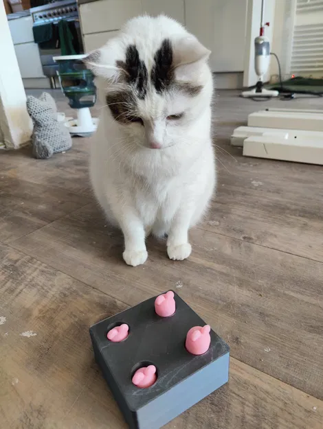 Trò chơi bắt chuột cho mèo vui nhộn và đơn giản - Image 6