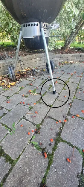 Nắp cuối cho chân trước BBQ 1 - Image 2