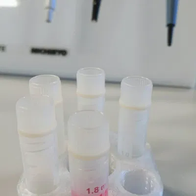 Giá đỡ 6 ống nghiệm cryogenic 1.8 mL