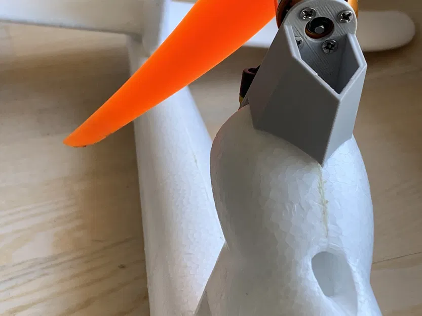 Mô hình gắn động cơ cho Sky Surfer với cánh quạt 11 inch - Image 1