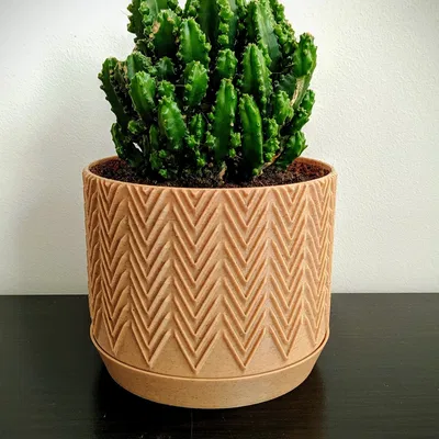 Chậu cây hiện đại với đĩa "ẩn" cho thực vật của bạn