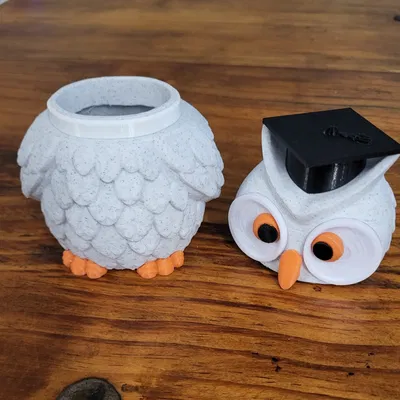 Lọ cú giáo viên dễ thương làm quà tặng