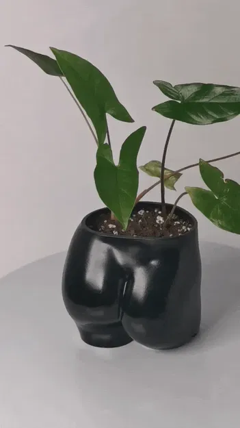 Chậu cây hình mông nữ dễ thương - Image 1