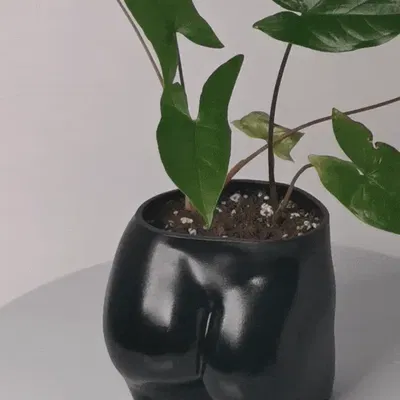 Chậu cây hình mông nữ dễ thương