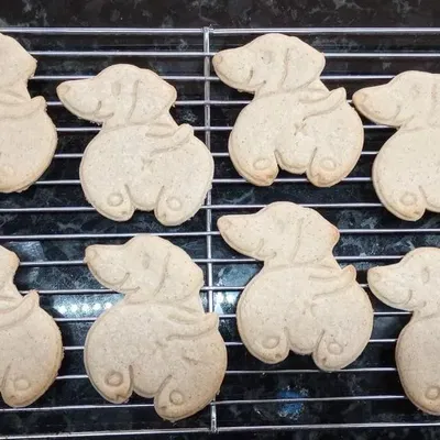 Cutter bánh quy hình chó Dachshund dễ thương