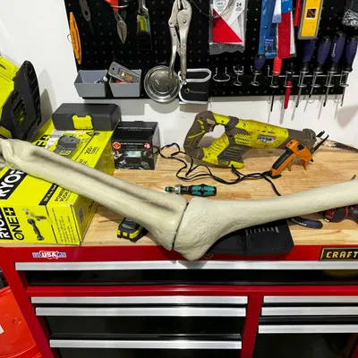 Giá đỡ cánh tay thay thế cho bộ xương khổng lồ 12 ft Home Depot