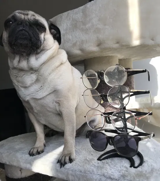 Giá đỡ kính mô-đun không cần hỗ trợ - Image 1