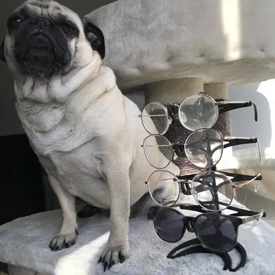 Giá đỡ kính mô-đun không cần hỗ trợ