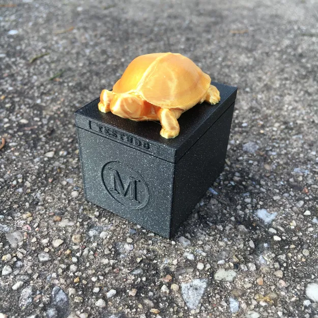 Bộ sưu tập tượng Testudo của Đại học Maryland - Image 3