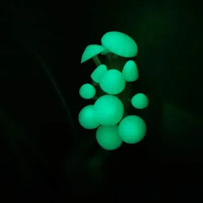 Đèn nấm LED phát sáng trong bóng tối