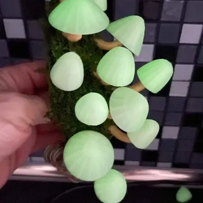 Đèn nấm LED phát sáng trong bóng tối