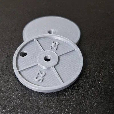 Móc chìa khóa đĩa tạ 25kg bằng gang tỷ lệ 1:10