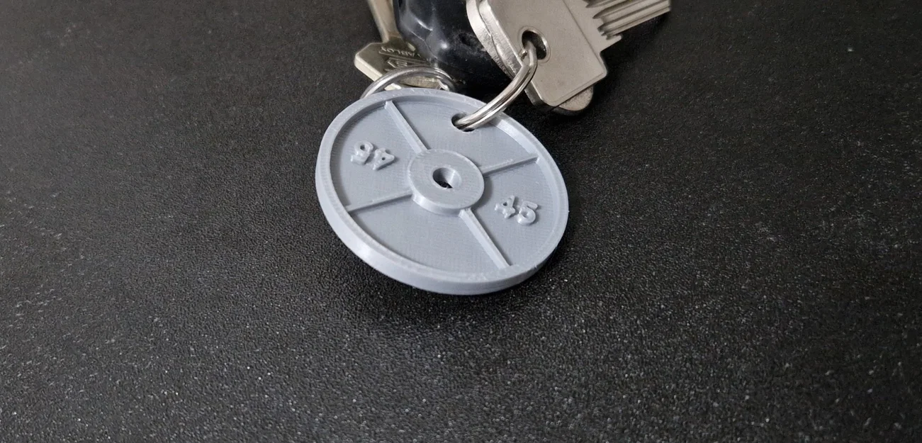 Móc chìa khóa đĩa tạ 25kg bằng gang tỷ lệ 1:10 - Image 2