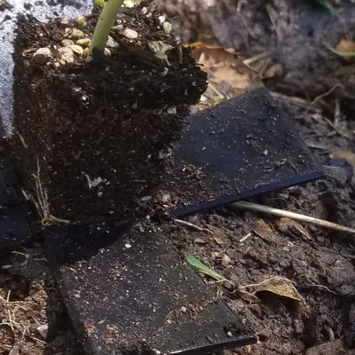 Hệ thống khởi động hạt giống - Tái sử dụng & In tại chỗ